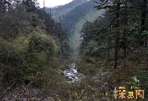 四川黑竹沟灵异事件，揭秘黑竹沟六大未解之谜