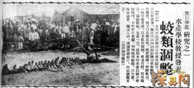 1934年辽宁营口坠龙事件，揭坠龙事件被隐藏的真相