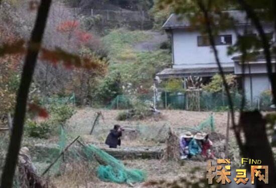 泰国拉达村灵异事件，频繁闹鬼导致村民慌忙逃离