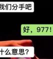 抖音上977是什么意思什么梗,